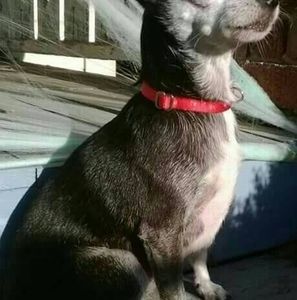 Meet your Posher, Isabelle